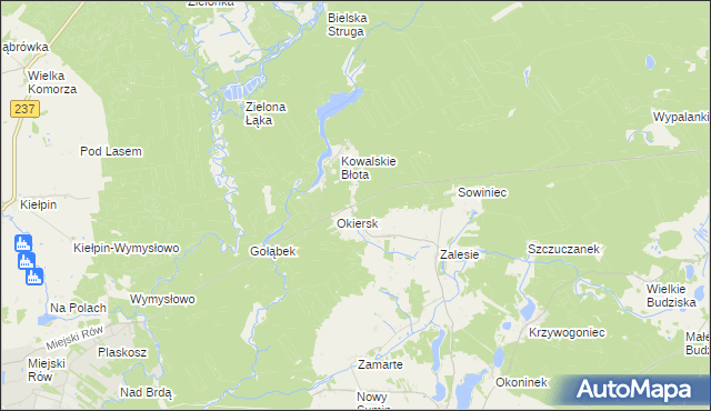 mapa Łosiny gmina Cekcyn, Łosiny gmina Cekcyn na mapie Targeo