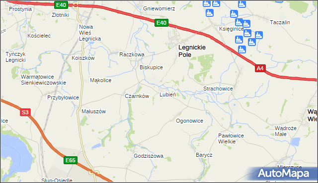 mapa Lubień gmina Legnickie Pole, Lubień gmina Legnickie Pole na mapie Targeo