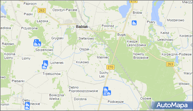 mapa Maliniec gmina Babiak, Maliniec gmina Babiak na mapie Targeo