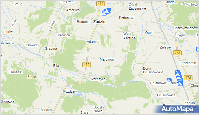 mapa Marcinów gmina Zadzim, Marcinów gmina Zadzim na mapie Targeo