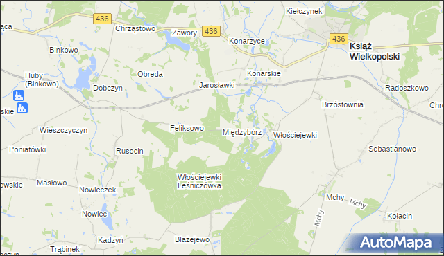 mapa Międzybórz gmina Książ Wielkopolski, Międzybórz gmina Książ Wielkopolski na mapie Targeo