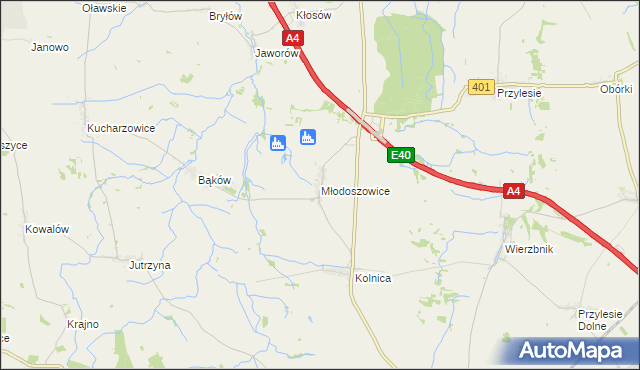 mapa Młodoszowice, Młodoszowice na mapie Targeo