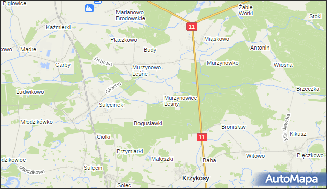 mapa Murzynowiec Leśny, Murzynowiec Leśny na mapie Targeo