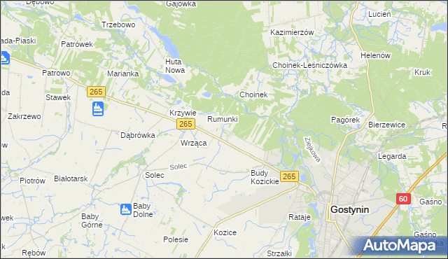 mapa Nagodów gmina Gostynin, Nagodów gmina Gostynin na mapie Targeo