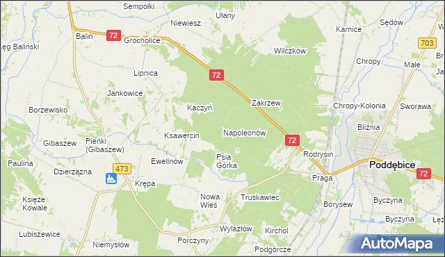 mapa Napoleonów gmina Poddębice, Napoleonów gmina Poddębice na mapie Targeo