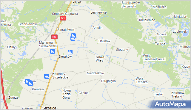 mapa Nowa Wieś gmina Gostynin, Nowa Wieś gmina Gostynin na mapie Targeo