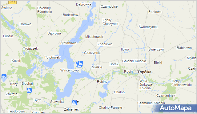 mapa Opielanka, Opielanka na mapie Targeo