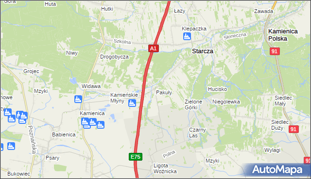 mapa Pakuły gmina Woźniki, Pakuły gmina Woźniki na mapie Targeo