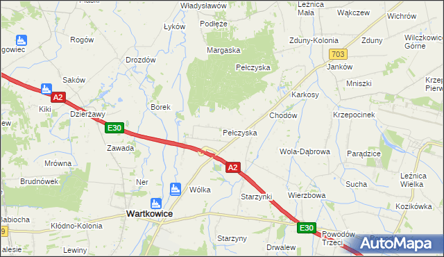 mapa Pełczyska gmina Wartkowice, Pełczyska gmina Wartkowice na mapie Targeo