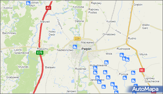 mapa Pelplin, Pelplin na mapie Targeo