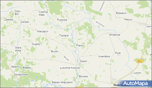 mapa Pianki gmina Rościszewo, Pianki gmina Rościszewo na mapie Targeo