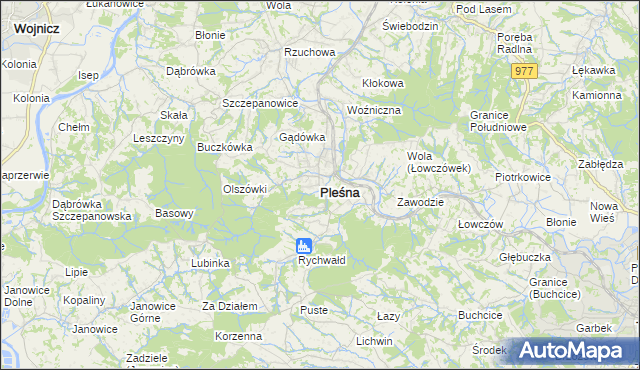 mapa Pleśna powiat tarnowski, Pleśna powiat tarnowski na mapie Targeo