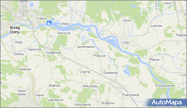 mapa Prężyce, Prężyce na mapie Targeo