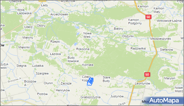 mapa Rokicina, Rokicina na mapie Targeo