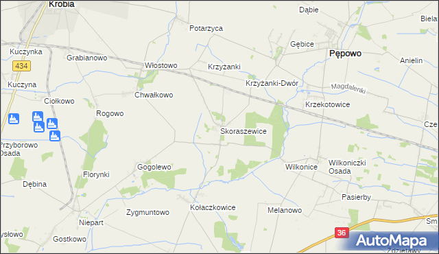 mapa Skoraszewice, Skoraszewice na mapie Targeo