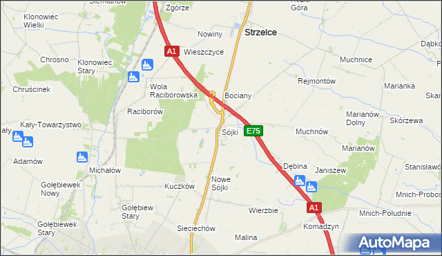 mapa Sójki gmina Strzelce, Sójki gmina Strzelce na mapie Targeo