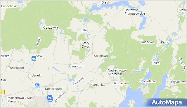 mapa Sokołowo gmina Witkowo, Sokołowo gmina Witkowo na mapie Targeo