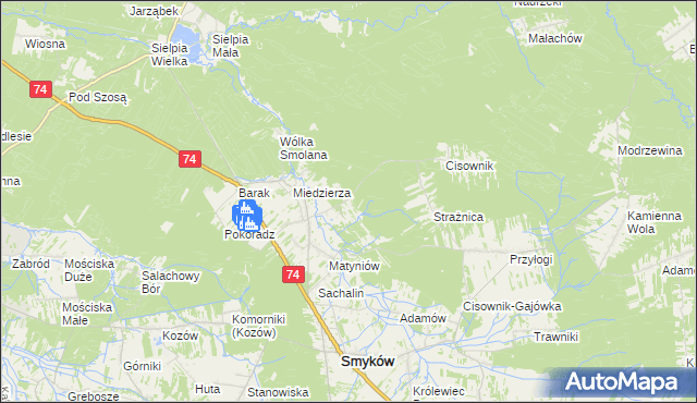 mapa Świnków gmina Smyków, Świnków gmina Smyków na mapie Targeo