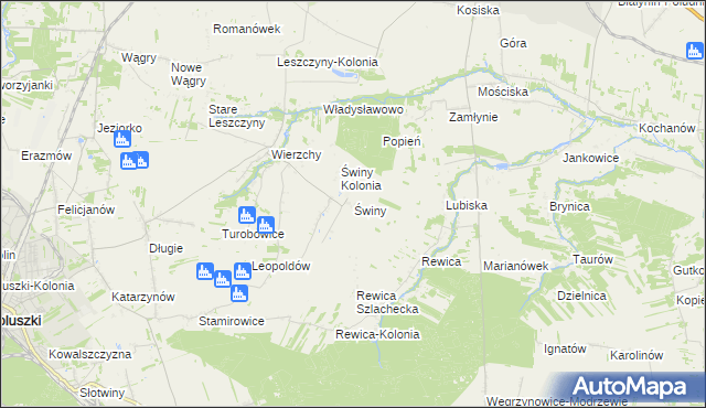 mapa Świny gmina Koluszki, Świny gmina Koluszki na mapie Targeo