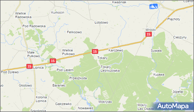 mapa Tokary gmina Golub-Dobrzyń, Tokary gmina Golub-Dobrzyń na mapie Targeo