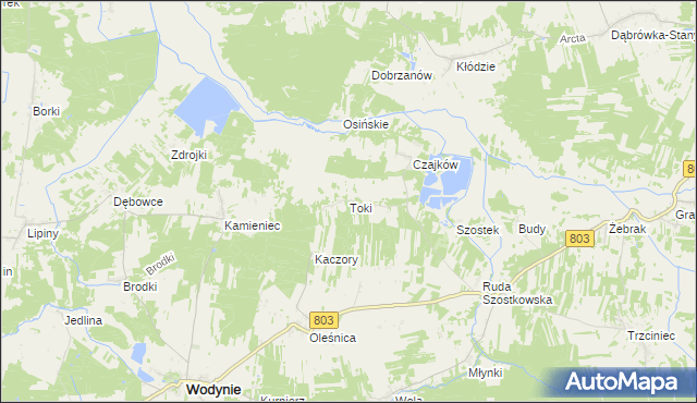mapa Toki gmina Wodynie, Toki gmina Wodynie na mapie Targeo