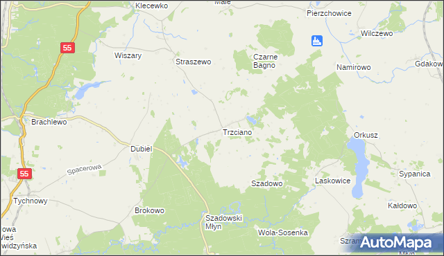mapa Trzciano gmina Ryjewo, Trzciano gmina Ryjewo na mapie Targeo