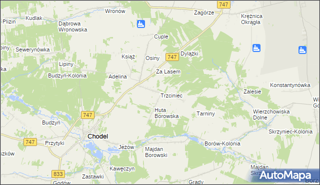 mapa Trzciniec gmina Chodel, Trzciniec gmina Chodel na mapie Targeo