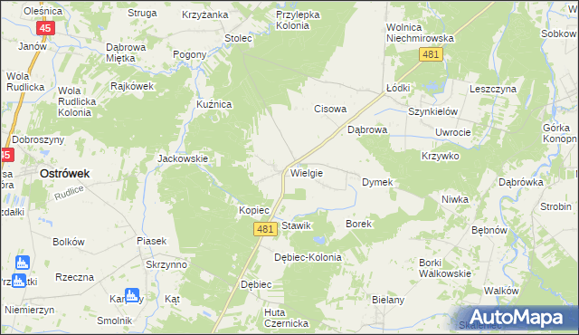 mapa Wielgie gmina Ostrówek, Wielgie gmina Ostrówek na mapie Targeo