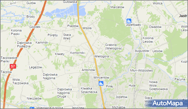 mapa Wielogóra gmina Jedlińsk, Wielogóra gmina Jedlińsk na mapie Targeo