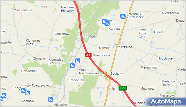 mapa Wieszczyce gmina Strzelce, Wieszczyce gmina Strzelce na mapie Targeo