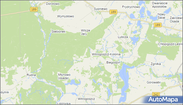 mapa Witrogoszcz-Kolonia, Witrogoszcz-Kolonia na mapie Targeo