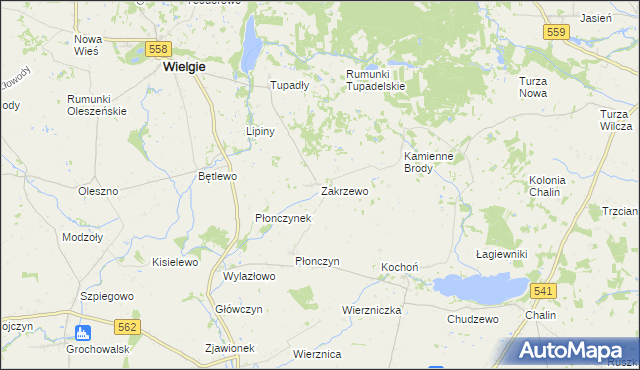 mapa Zakrzewo gmina Wielgie, Zakrzewo gmina Wielgie na mapie Targeo