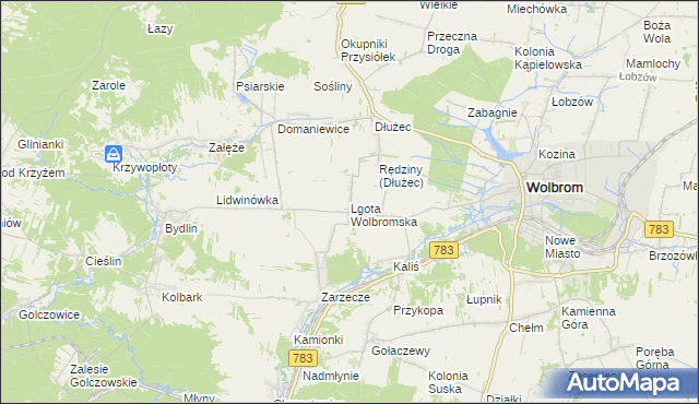 mapa Lgota Wolbromska, Lgota Wolbromska na mapie Targeo