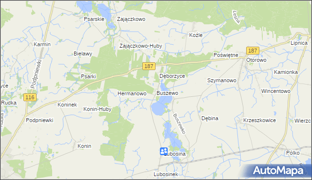 mapa Buszewo gmina Pniewy, Buszewo gmina Pniewy na mapie Targeo