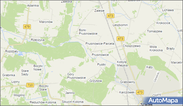 mapa Prusinowice gmina Szadek, Prusinowice gmina Szadek na mapie Targeo