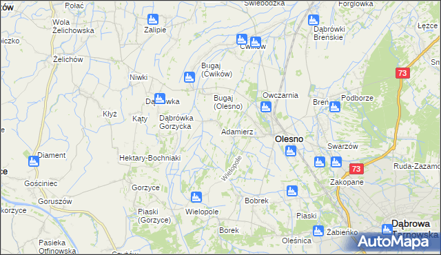 mapa Adamierz gmina Olesno, Adamierz gmina Olesno na mapie Targeo