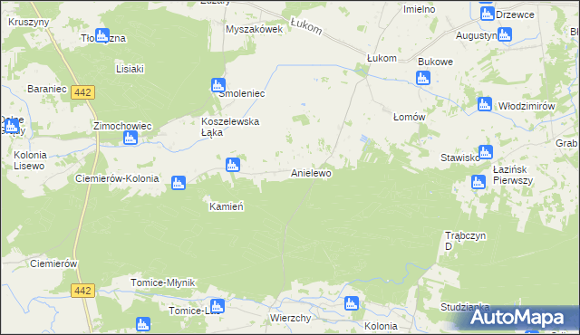 mapa Anielewo gmina Zagórów, Anielewo gmina Zagórów na mapie Targeo