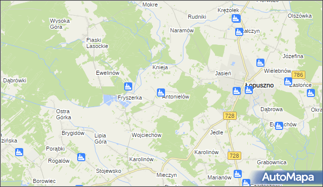 mapa Antonielów gmina Łopuszno, Antonielów gmina Łopuszno na mapie Targeo