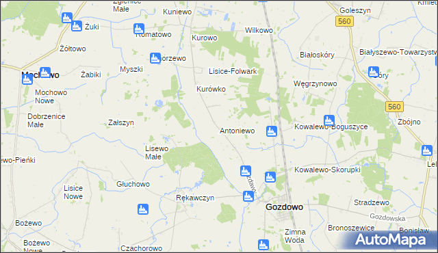 mapa Antoniewo gmina Gozdowo, Antoniewo gmina Gozdowo na mapie Targeo