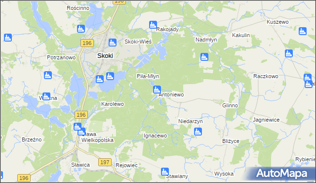 mapa Antoniewo gmina Skoki, Antoniewo gmina Skoki na mapie Targeo