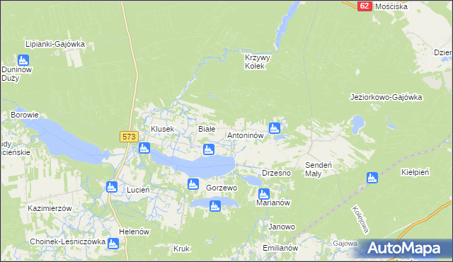 mapa Antoninów gmina Gostynin, Antoninów gmina Gostynin na mapie Targeo