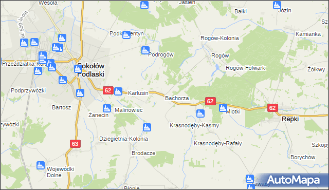 mapa Bachorza gmina Sokołów Podlaski, Bachorza gmina Sokołów Podlaski na mapie Targeo