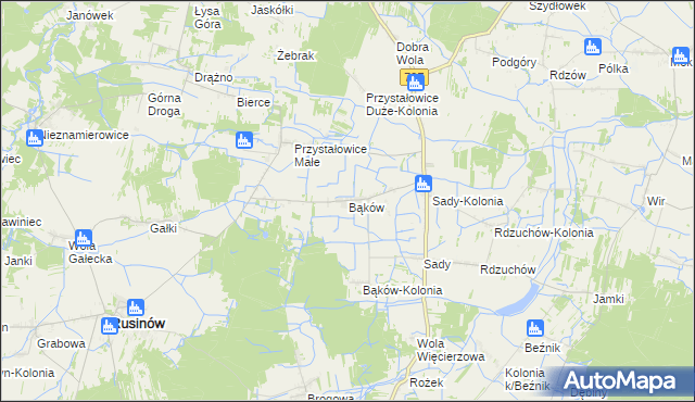 mapa Bąków gmina Rusinów, Bąków gmina Rusinów na mapie Targeo