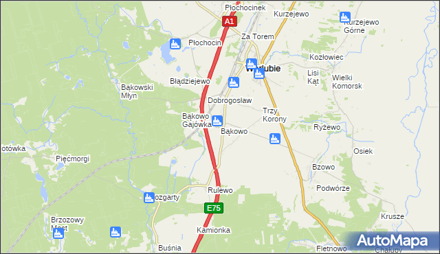 mapa Bąkowo gmina Warlubie, Bąkowo gmina Warlubie na mapie Targeo