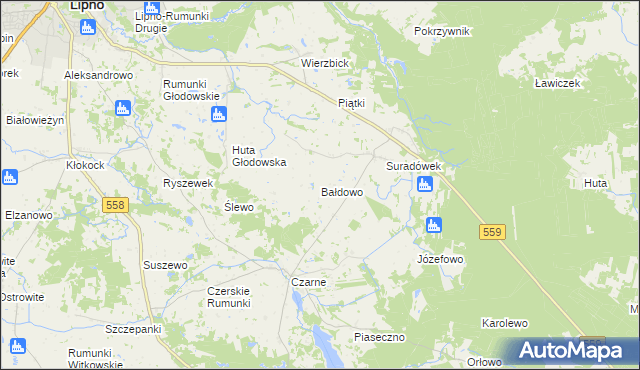 mapa Bałdowo gmina Wielgie, Bałdowo gmina Wielgie na mapie Targeo