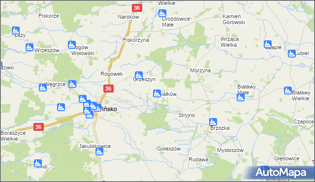 mapa Białków gmina Wińsko, Białków gmina Wińsko na mapie Targeo