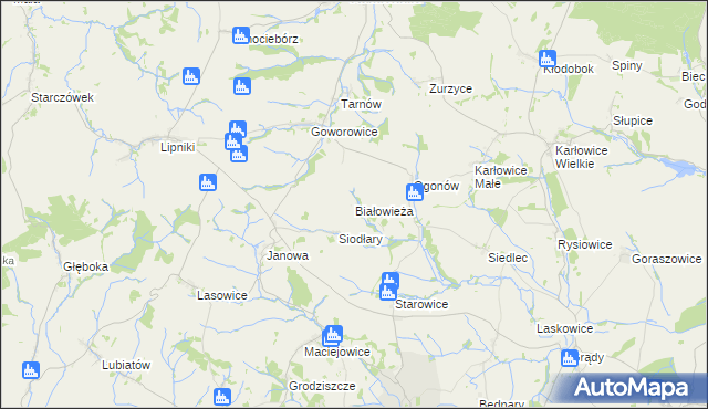 mapa Białowieża gmina Kamiennik, Białowieża gmina Kamiennik na mapie Targeo