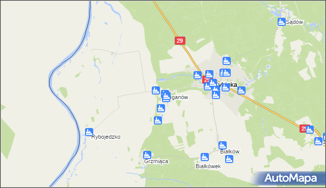 mapa Bieganów gmina Cybinka, Bieganów gmina Cybinka na mapie Targeo