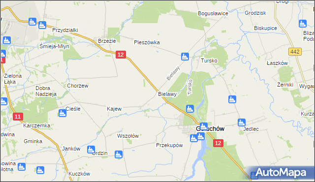 mapa Bielawy gmina Gołuchów, Bielawy gmina Gołuchów na mapie Targeo