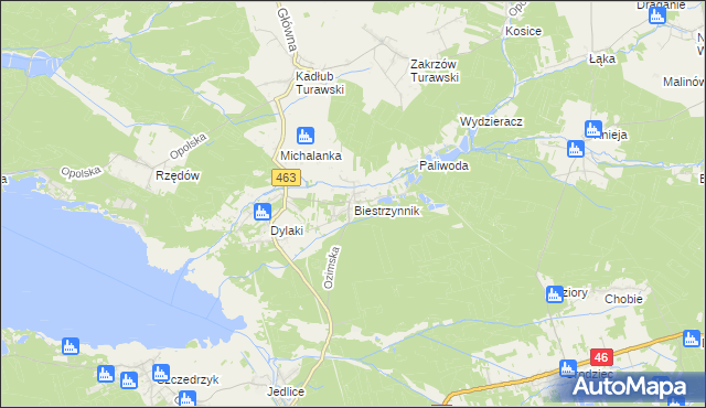 mapa Biestrzynnik, Biestrzynnik na mapie Targeo